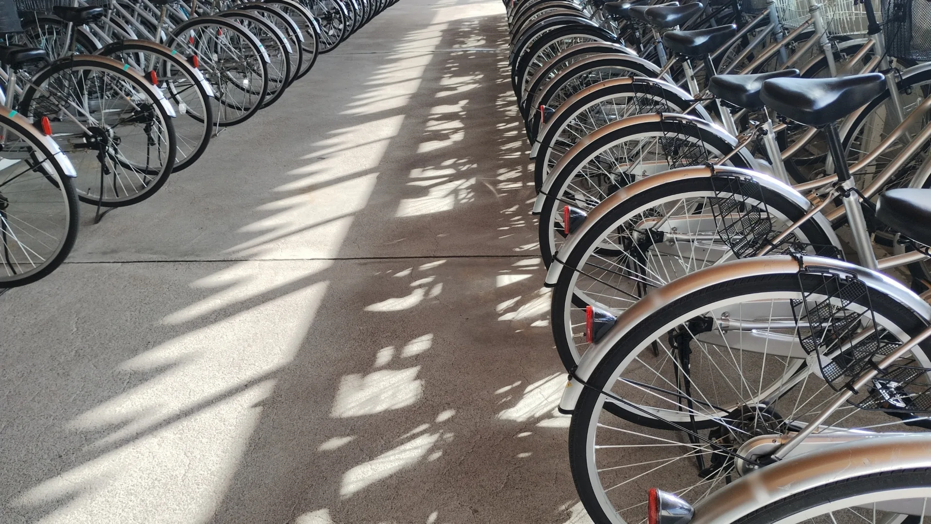 屋内駐輪場に並ぶ自転車の画像
